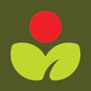 icon_olive_@128 icon_olive_@128